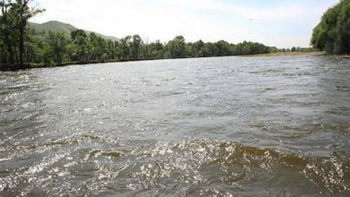 Орхон голд живсэн эрэгтэйн цогцос ОХУ-ын нутгаас олджээ